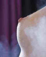 The Life Erotic - 17-018